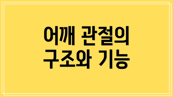 어깨 관절의 구조와 기능
