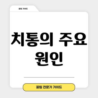 치통의 주요 원인