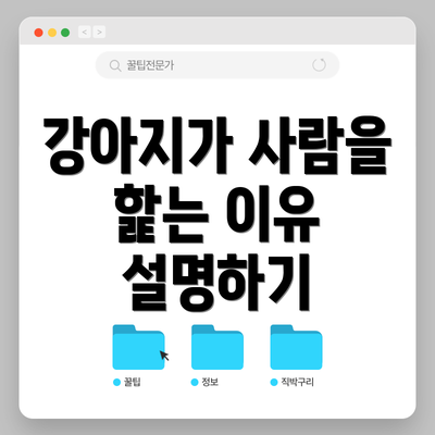 강아지가 사람을 핥는 이유 설명하기
