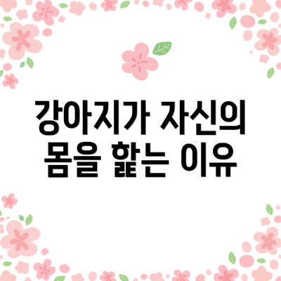 강아지가 자신의 몸을 핥는 이유
