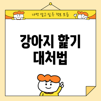강아지 핥기 대처법