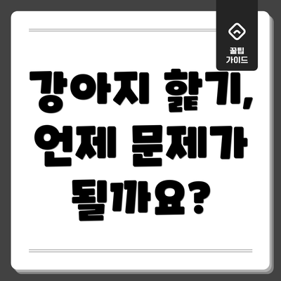 강아지 핥기, 언제 문제가 될까요?