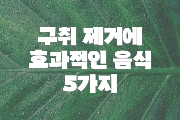 구취 제거에 효과적인 음식 5가지