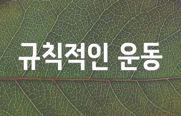 규칙적인 운동