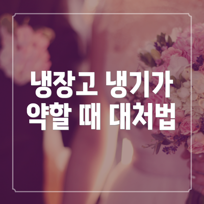 냉장고 냉기가 약할 때 대처법