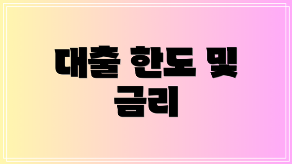 대출 한도 및 금리