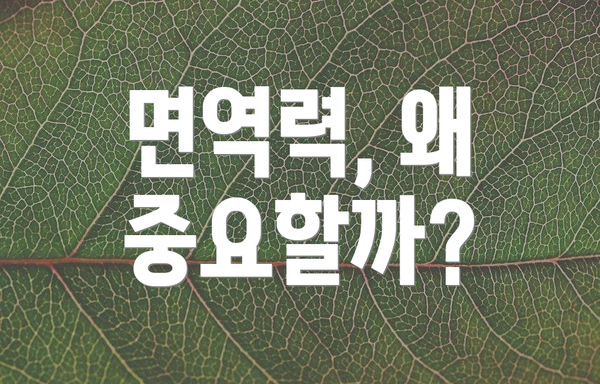 면역력, 왜 중요할까?