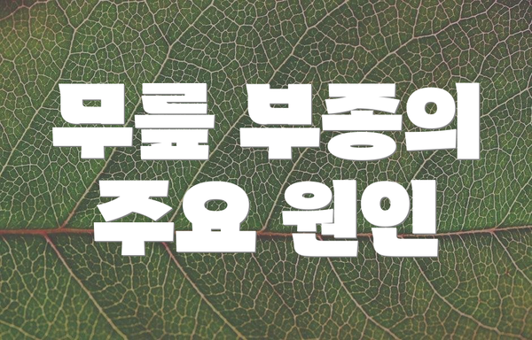 무릎 부종의 주요 원인