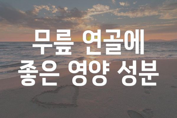 무릎 연골에 좋은 영양 성분