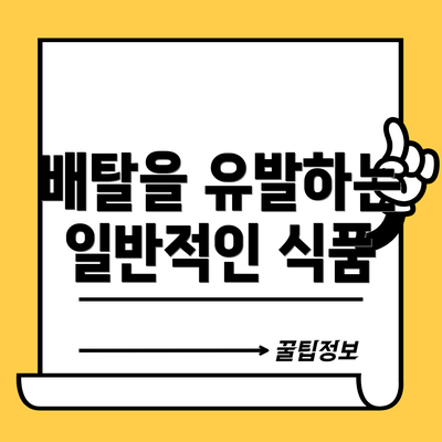 배탈을 유발하는 일반적인 식품