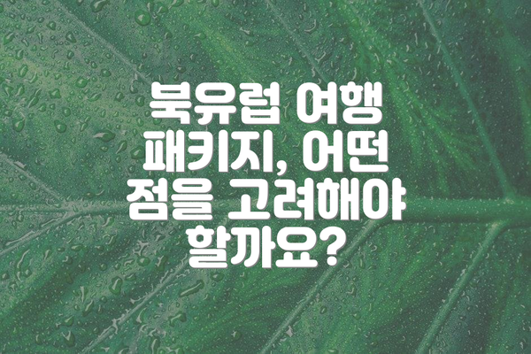 북유럽 여행 패키지, 어떤 점을 고려해야 할까요?