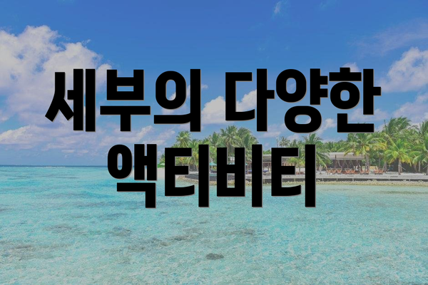 세부의 다양한 액티비티
