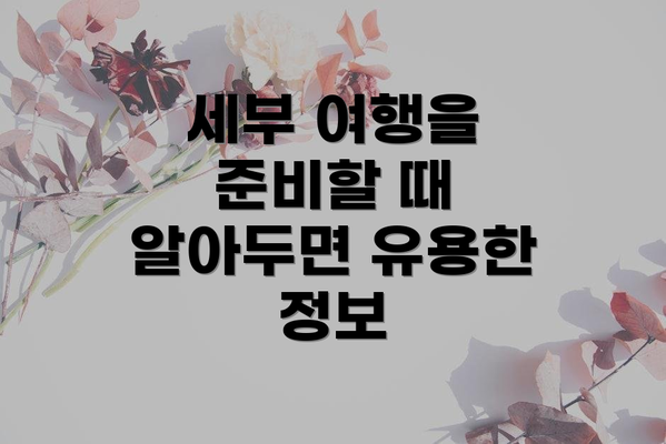 세부 여행을 준비할 때 알아두면 유용한 정보