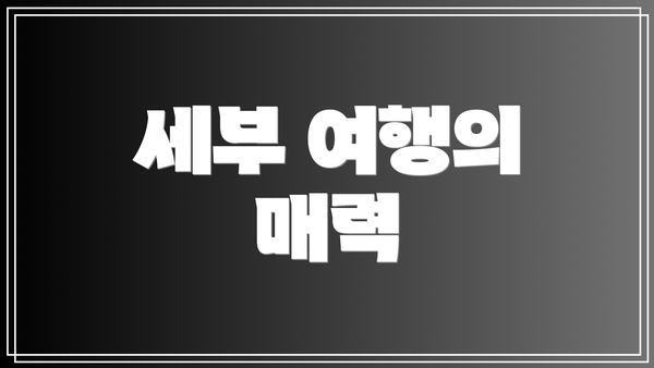 세부 여행의 매력