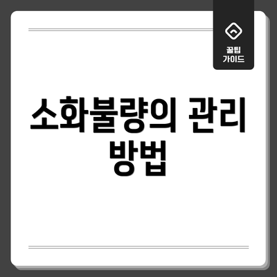 소화불량의 관리 방법