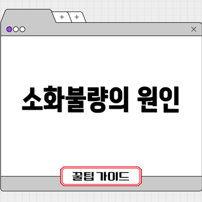 소화불량의 원인