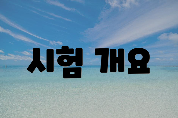 시험 개요