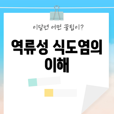 역류성 식도염의 이해