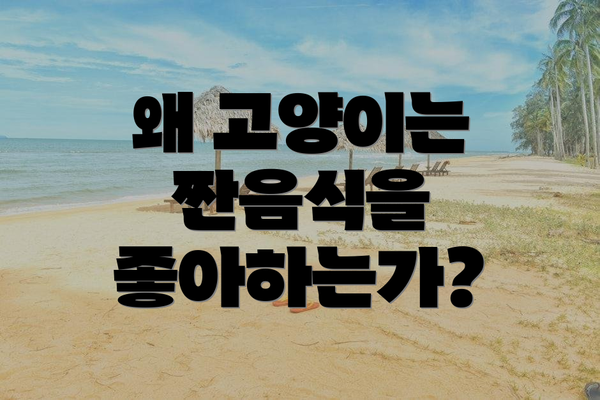 왜 고양이는 짠음식을 좋아하는가?
