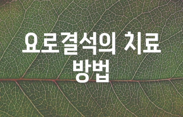 요로결석의 치료 방법