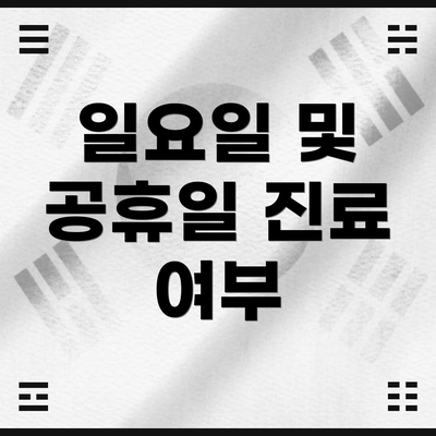 일요일 및 공휴일 진료 여부