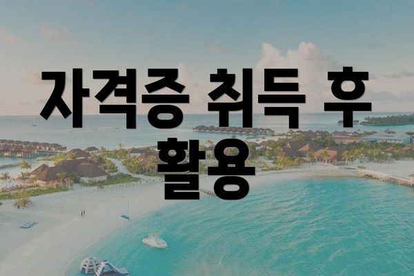 자격증 취득 후 활용