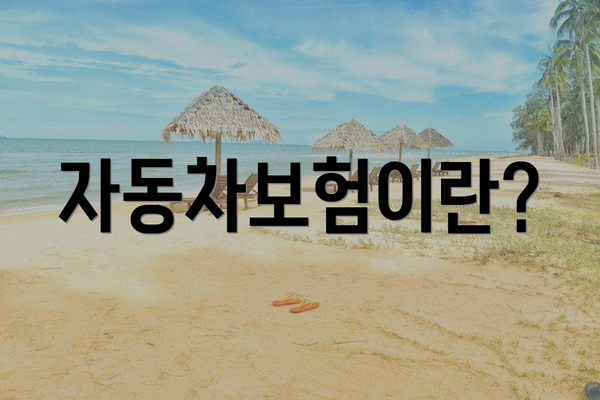 자동차보험이란?
