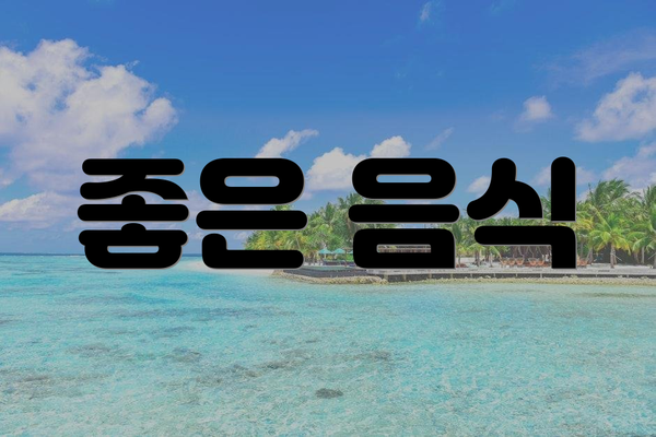 좋은 음식