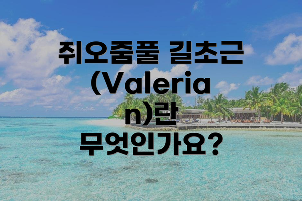 쥐오줌풀 길초근(Valerian)란 무엇인가요?