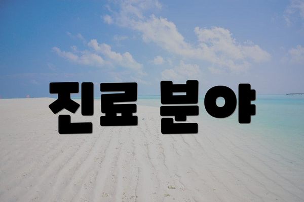 진료 분야