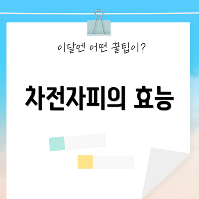 차전자피의 효능