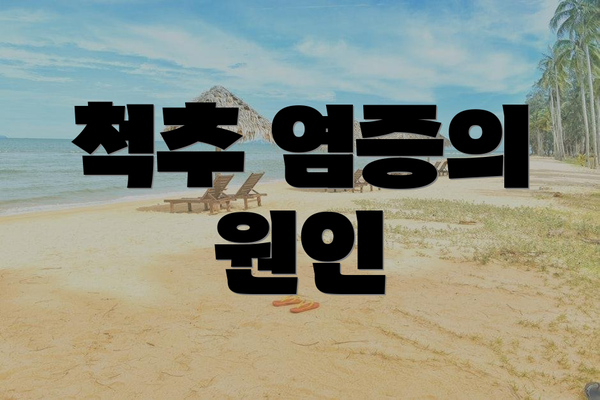 척추 염증의 원인