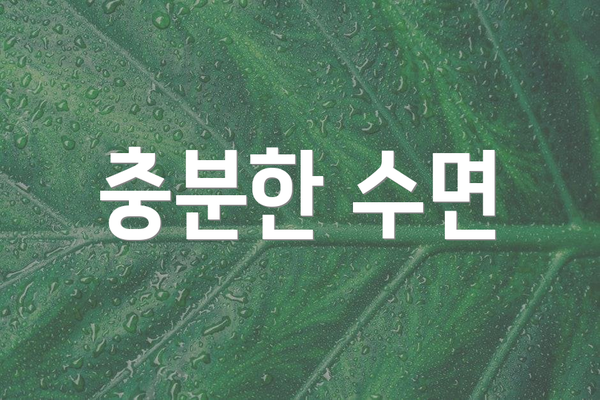 충분한 수면