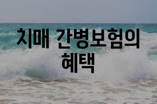 치매 간병보험의 혜택