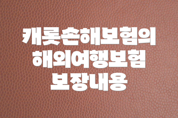 캐롯손해보험의 해외여행보험 보장내용