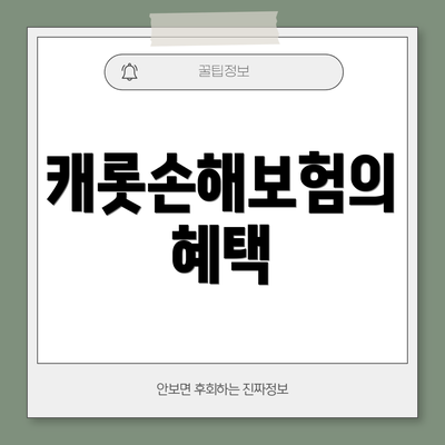 캐롯손해보험의 혜택