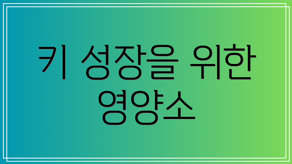 키 성장을 위한 영양소