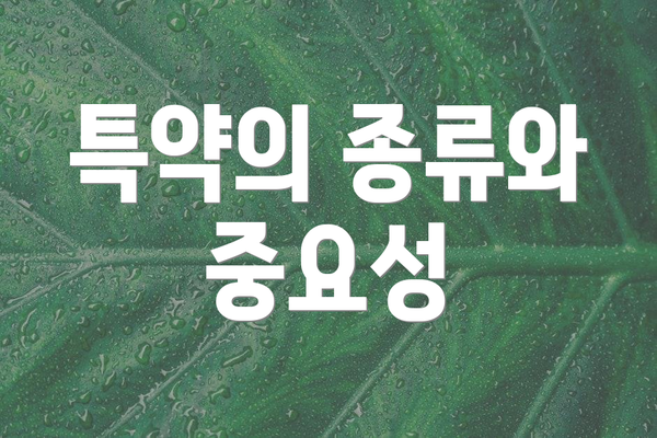 특약의 종류와 중요성