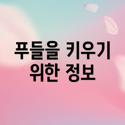 푸들을 키우기 위한 정보