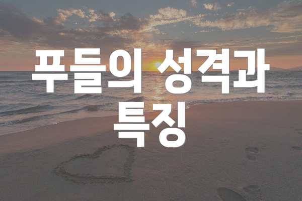 푸들의 성격과 특징