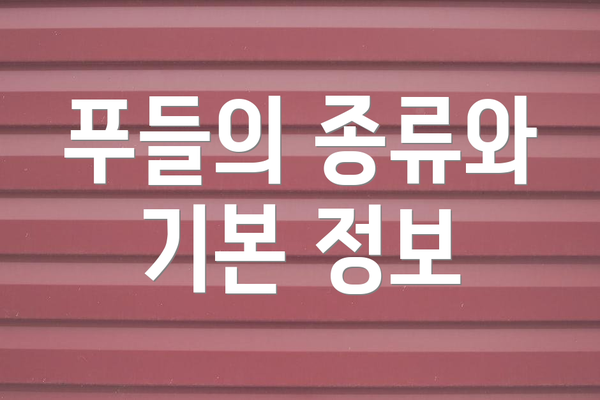 푸들의 종류와 기본 정보