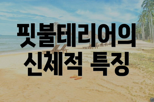 핏불테리어의 신체적 특징