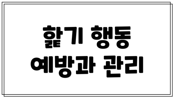 핥기 행동 예방과 관리