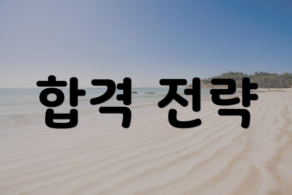 합격 전략