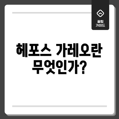 헤포스 가레오란 무엇인가?