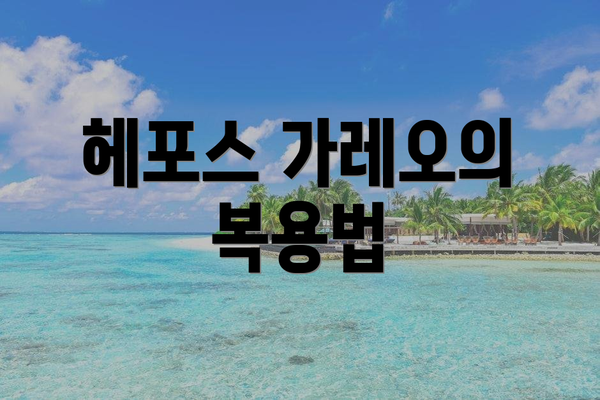 헤포스 가레오의 복용법