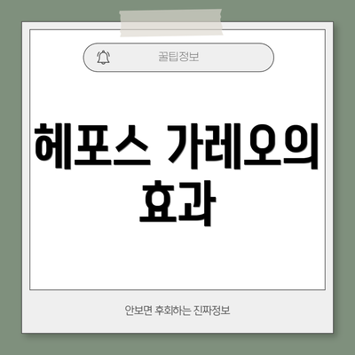 헤포스 가레오의 효과