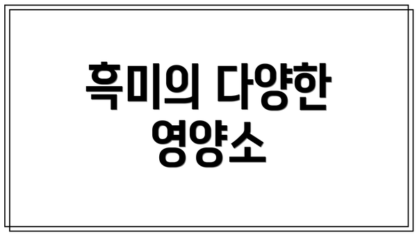 흑미의 다양한 영양소
