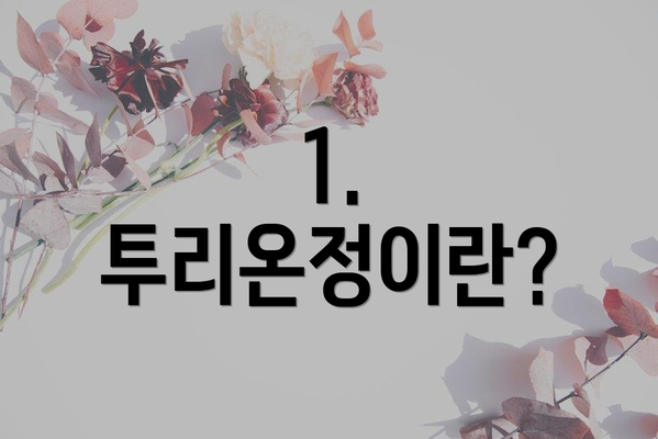1. 투리온정이란?
