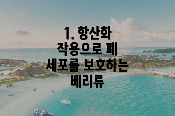1. 항산화 작용으로 폐 세포를 보호하는 베리류